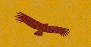 Adler fliegt